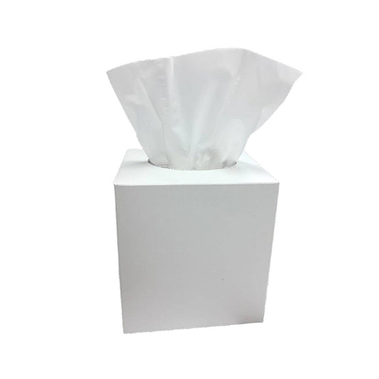 Facial Tissue Cube Box 100 Tissue.